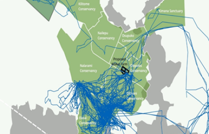 WILDLIFE CONNECTIVITY AND DISPERSAL AREAS