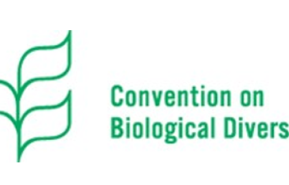 Governments advance text of landmark global agreement on biodiversity, prepare final steps in negotiation to be concluded in Montreal in December 