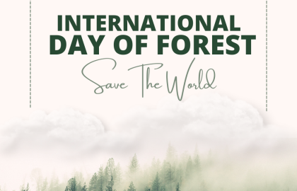 International Day of Forests - Statement by David Cooper