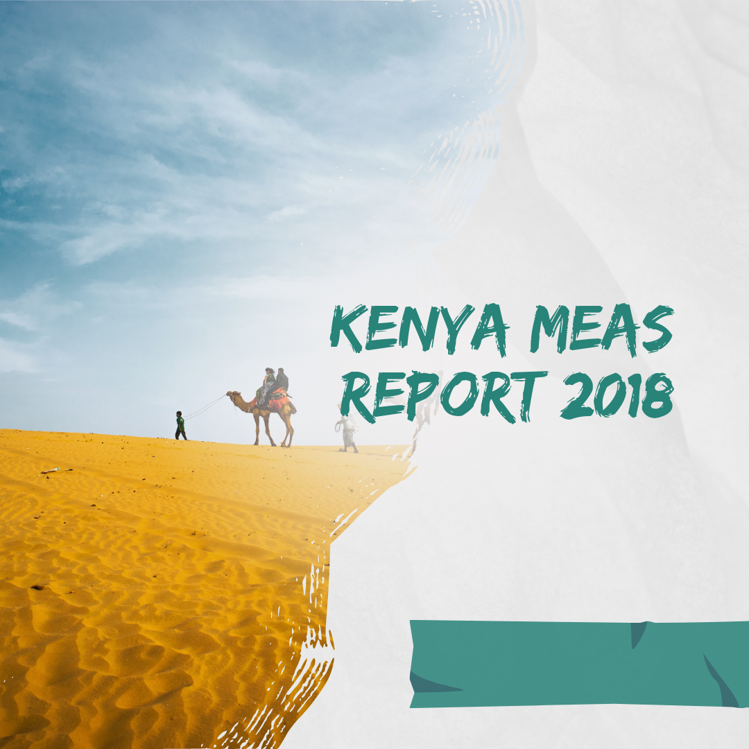 Kenya MEAs Workshop Report 2018